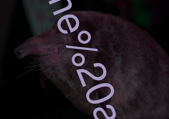 time and